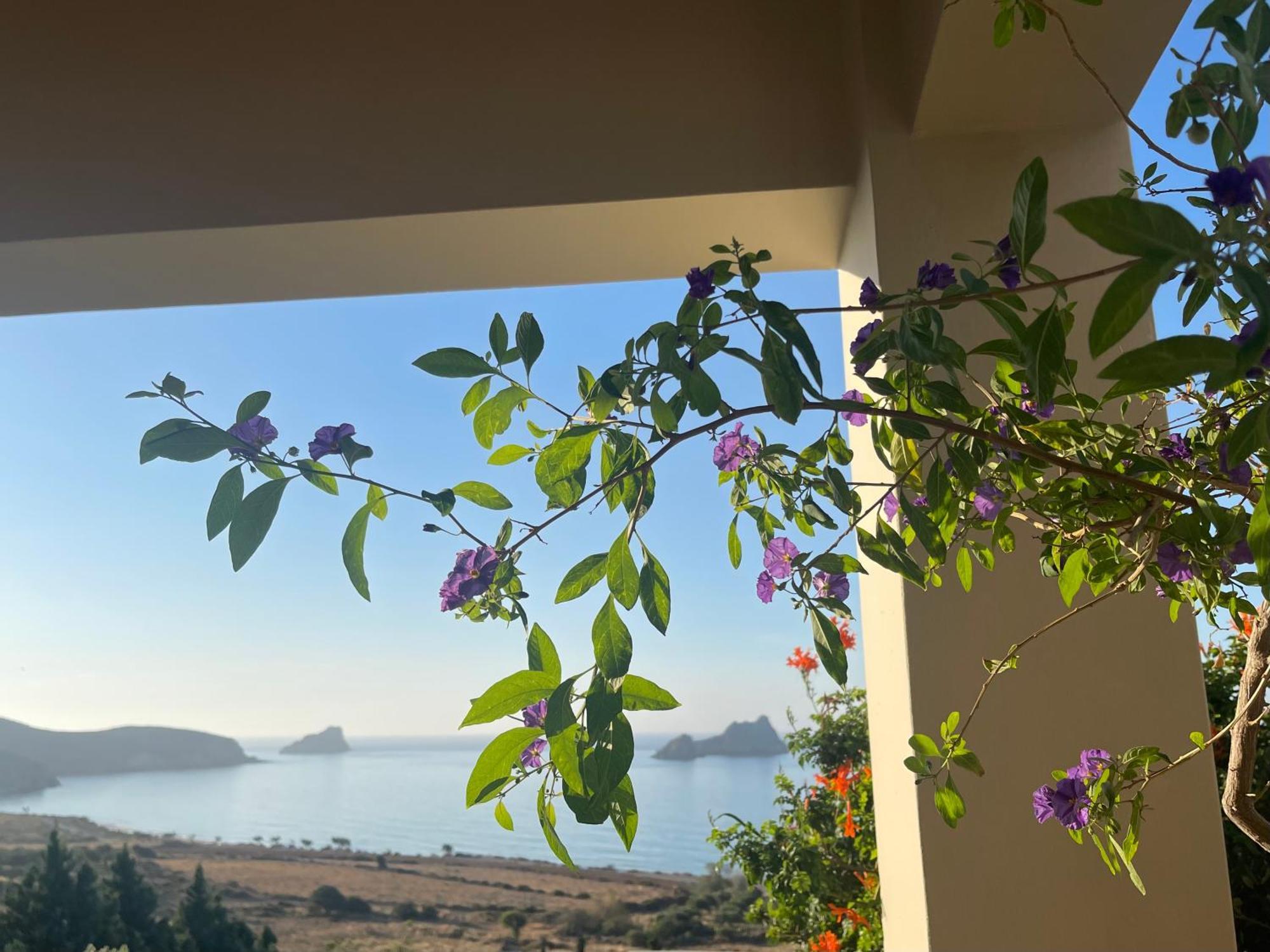 Natica Mare Villas セロカンポス エクステリア 写真