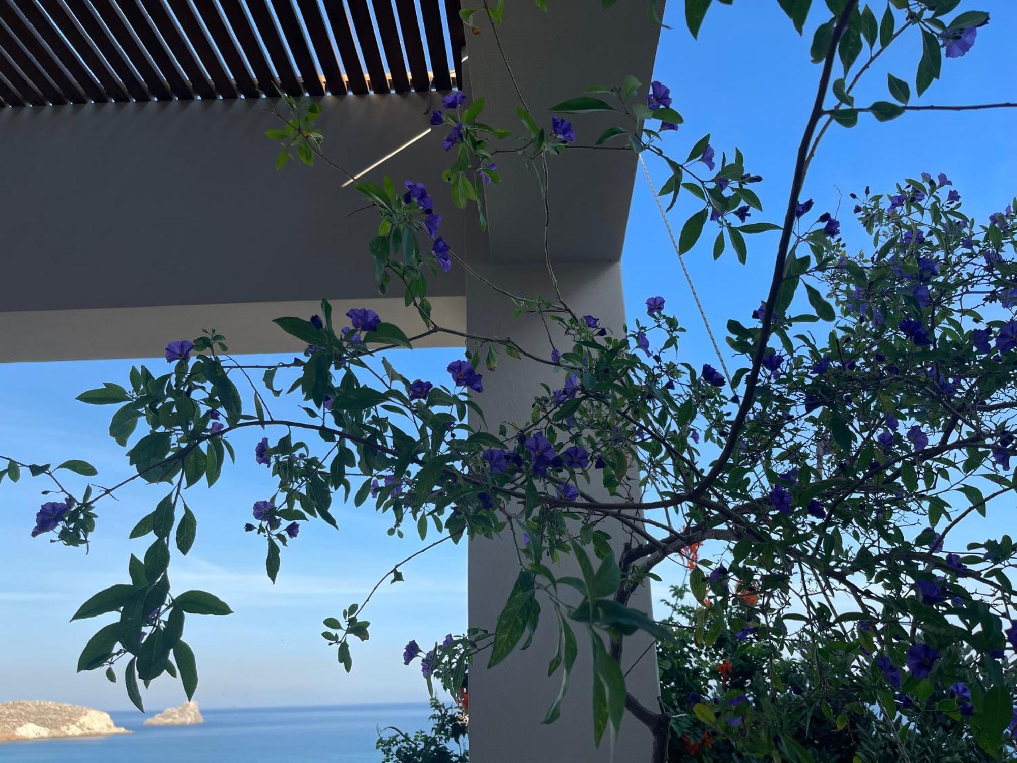 Natica Mare Villas セロカンポス エクステリア 写真